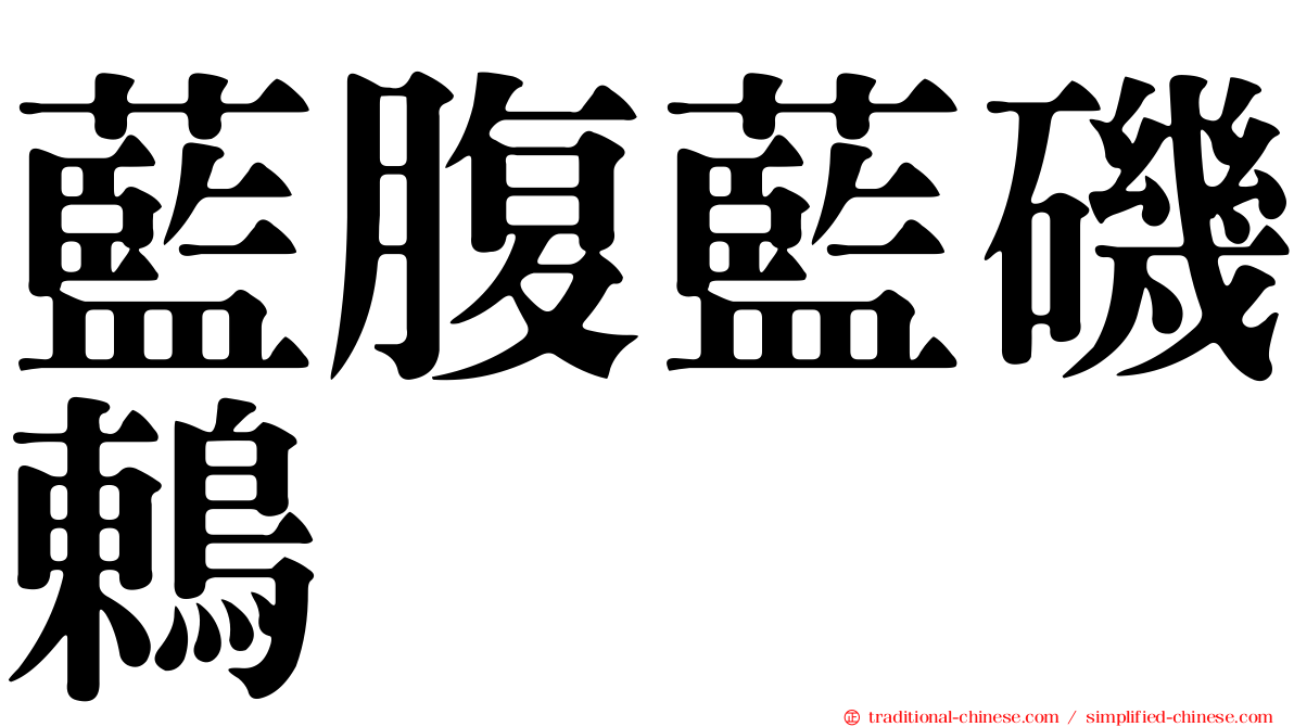 藍腹藍磯鶇
