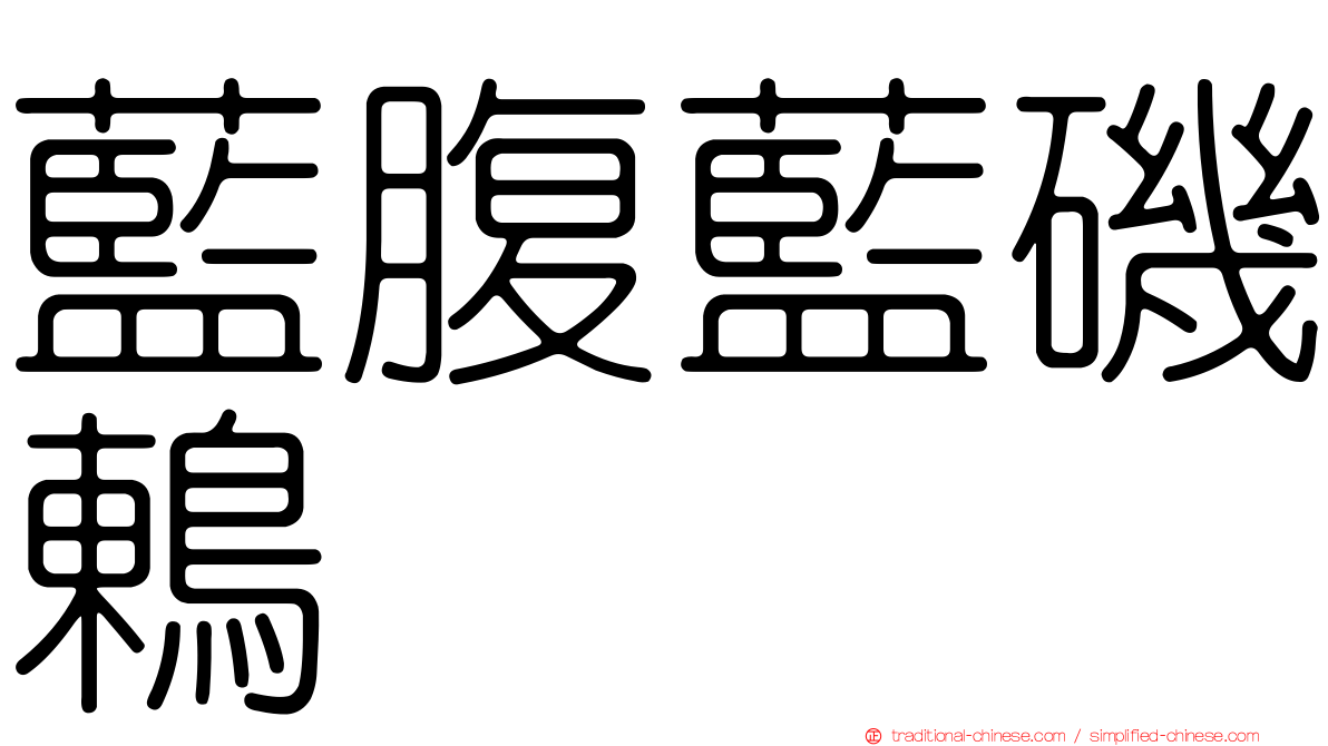 藍腹藍磯鶇