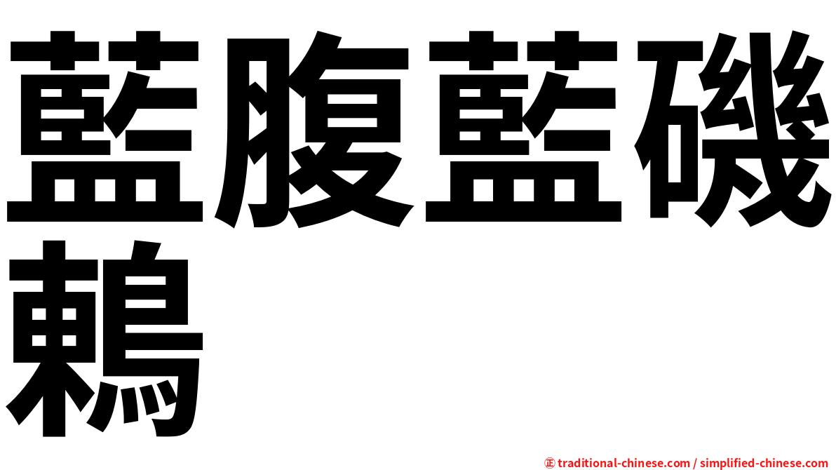 藍腹藍磯鶇