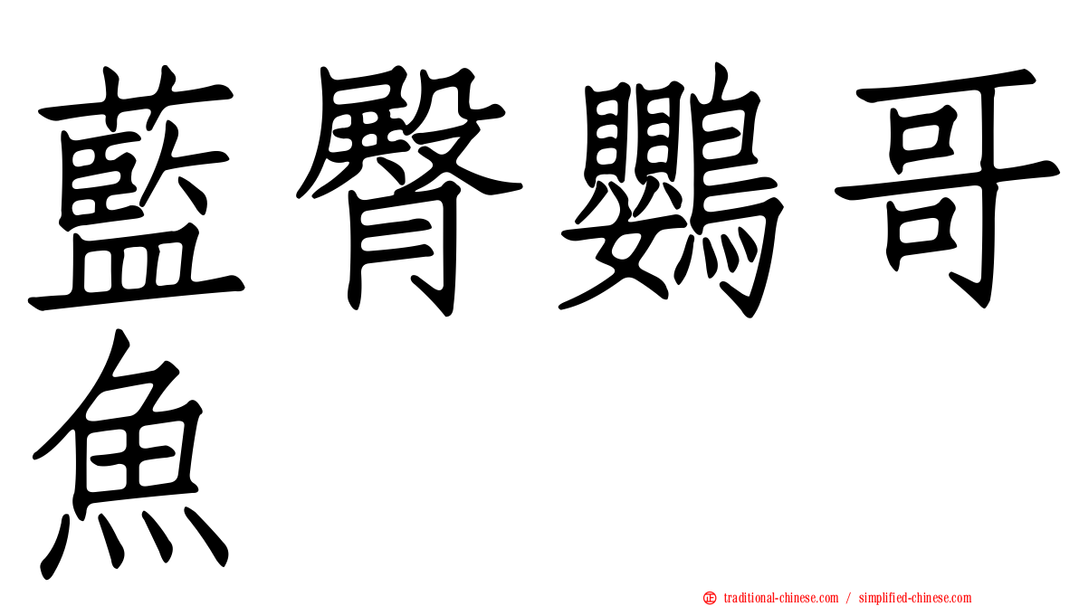 藍臀鸚哥魚