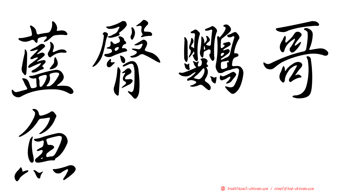 藍臀鸚哥魚