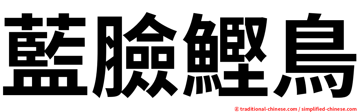 藍臉鰹鳥