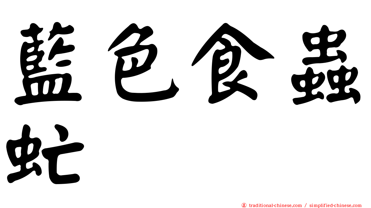 藍色食蟲虻