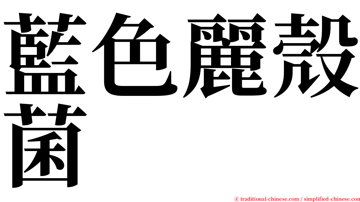 藍色麗殼菌 serif font