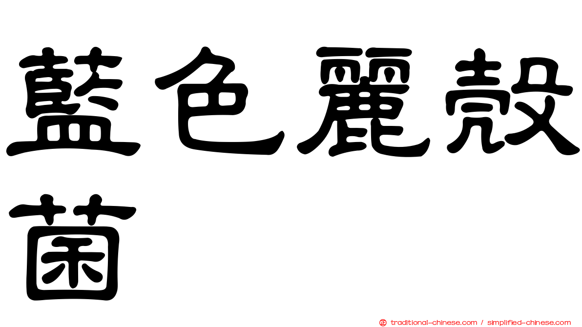 藍色麗殼菌