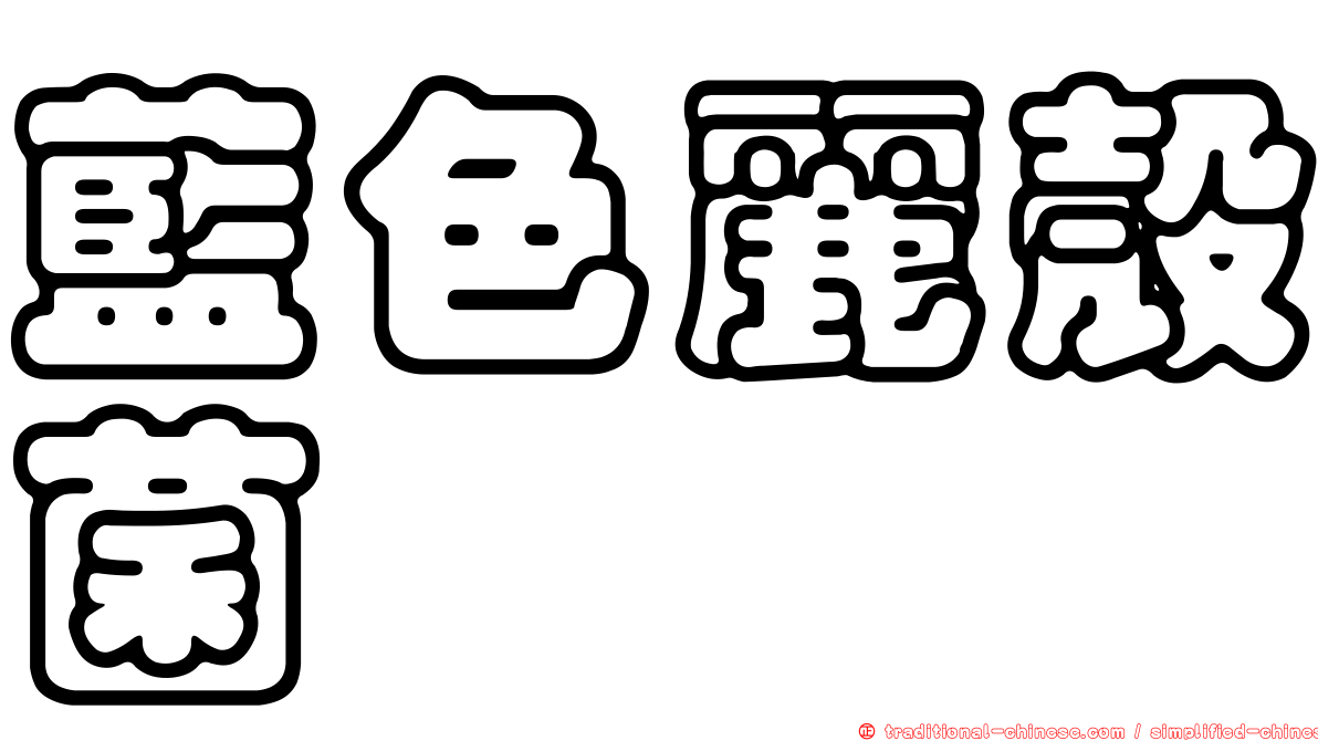 藍色麗殼菌