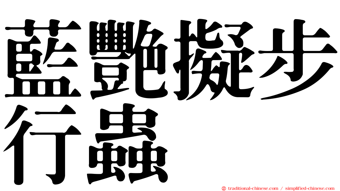 藍艷擬步行蟲