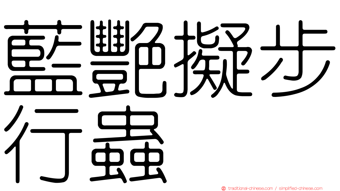 藍艷擬步行蟲