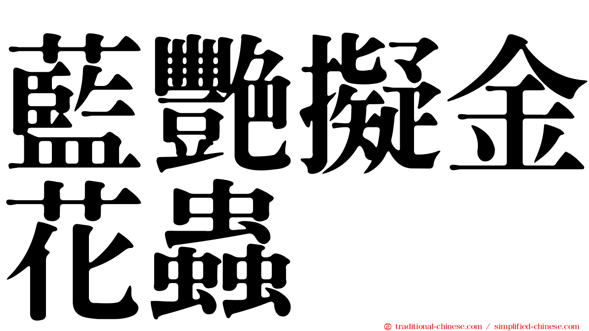 藍艷擬金花蟲