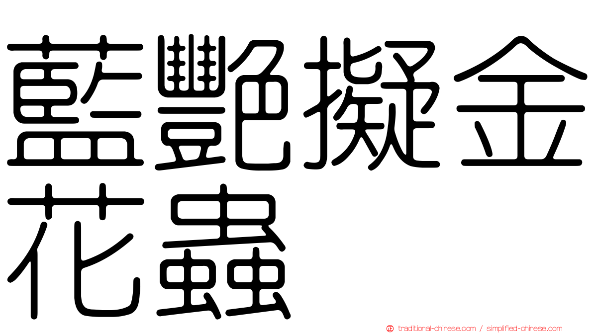 藍艷擬金花蟲
