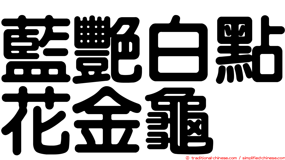 藍艷白點花金龜