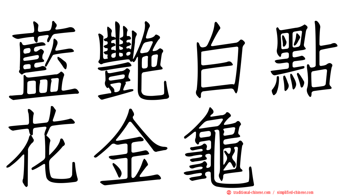 藍艷白點花金龜