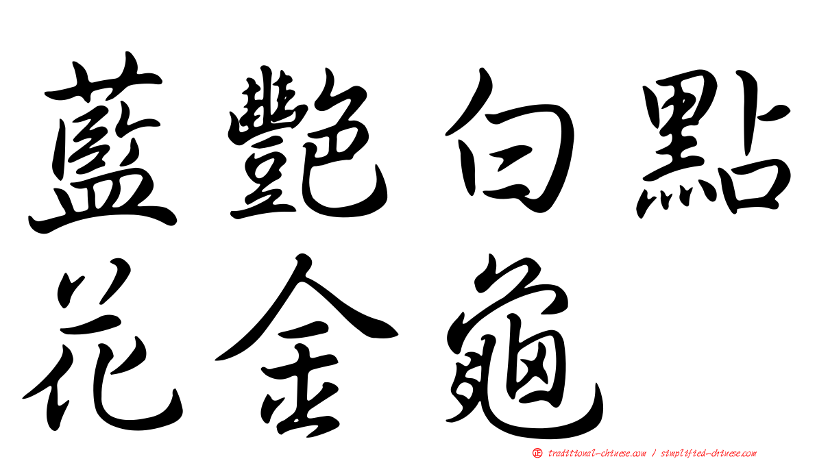 藍艷白點花金龜