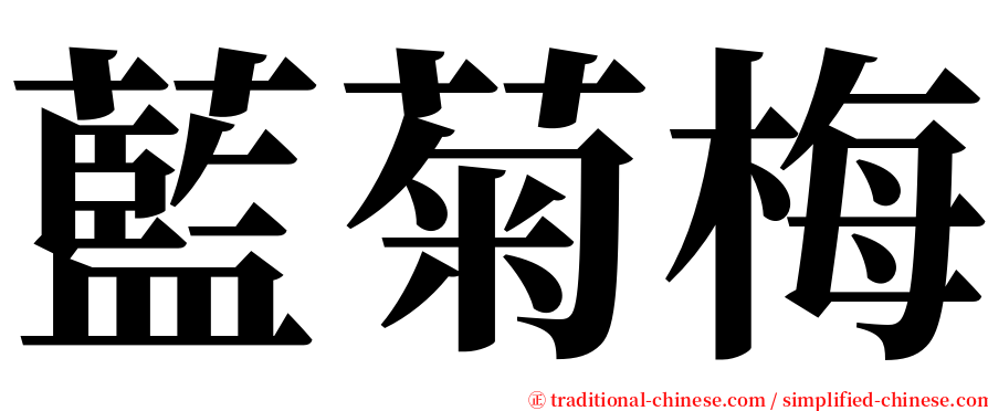 藍菊梅 serif font
