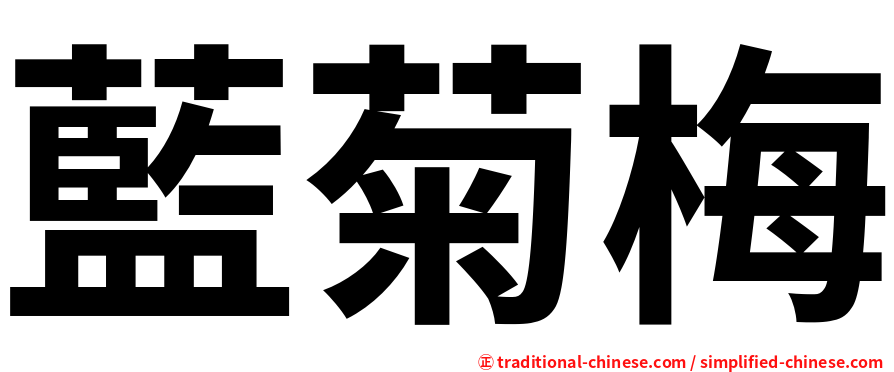 藍菊梅