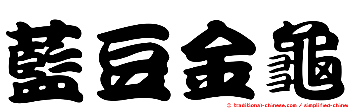 藍豆金龜