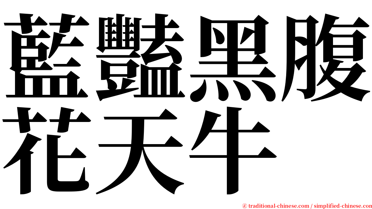 藍豔黑腹花天牛 serif font
