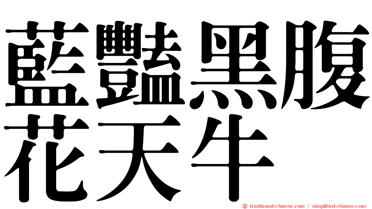 藍豔黑腹花天牛