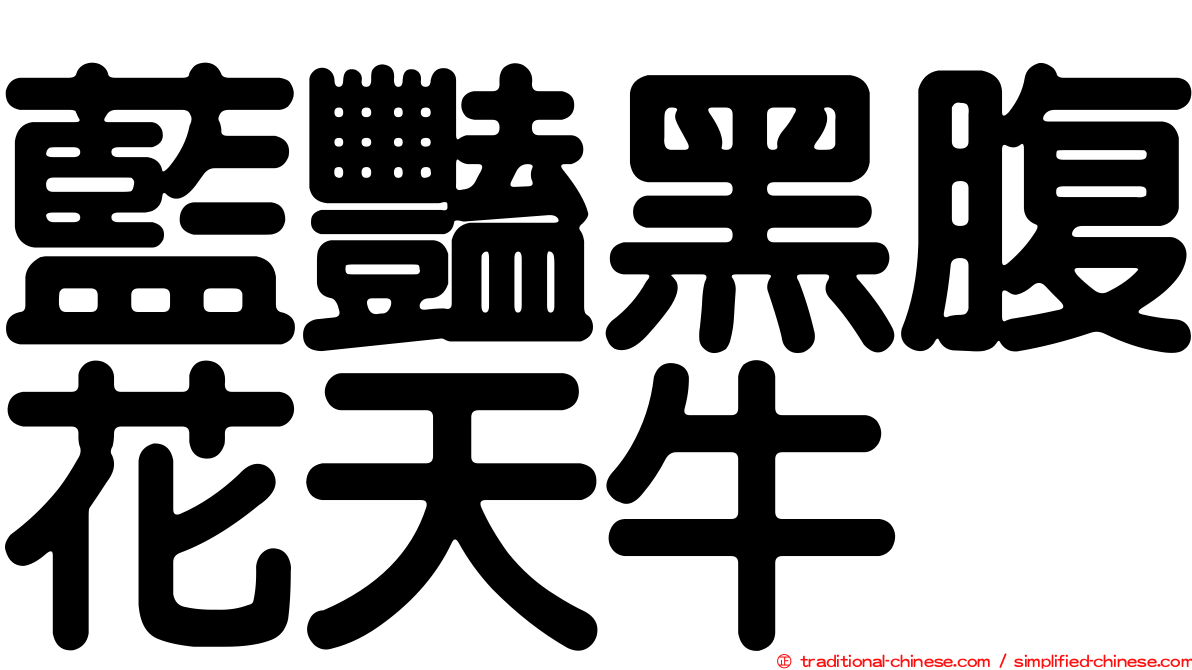 藍豔黑腹花天牛