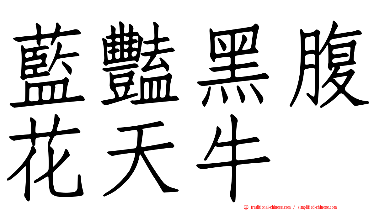 藍豔黑腹花天牛