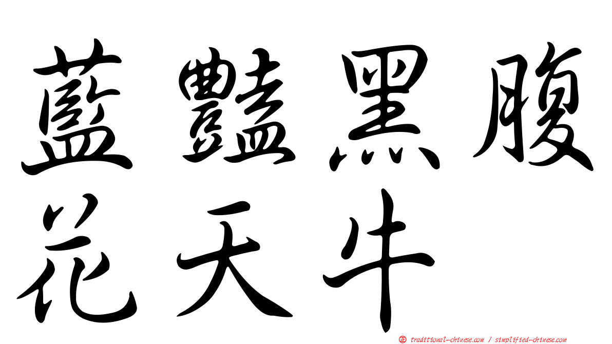 藍豔黑腹花天牛