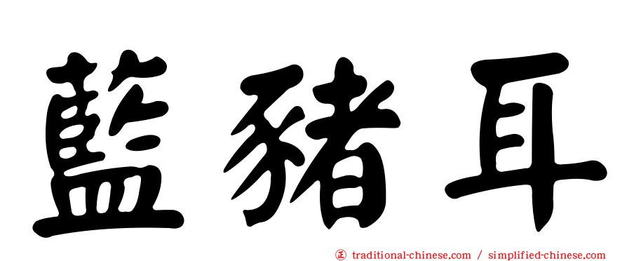 藍豬耳