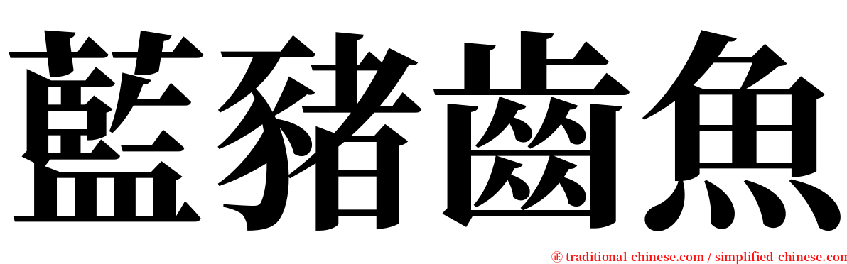 藍豬齒魚 serif font