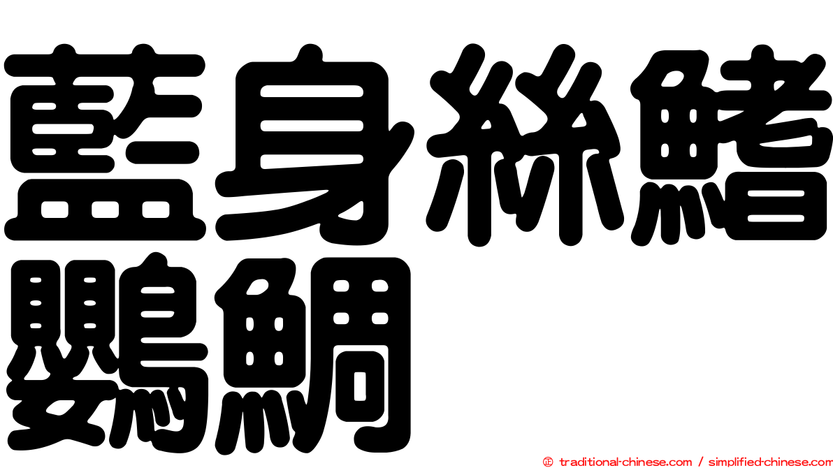 藍身絲鰭鸚鯛