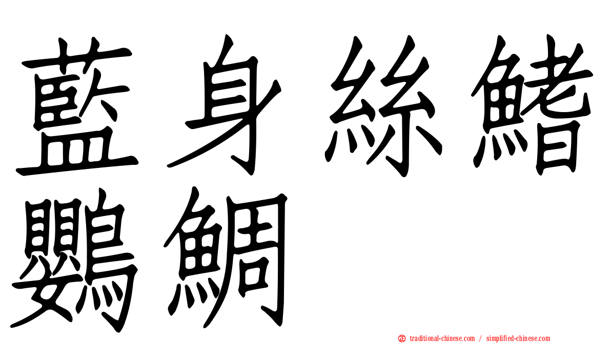 藍身絲鰭鸚鯛
