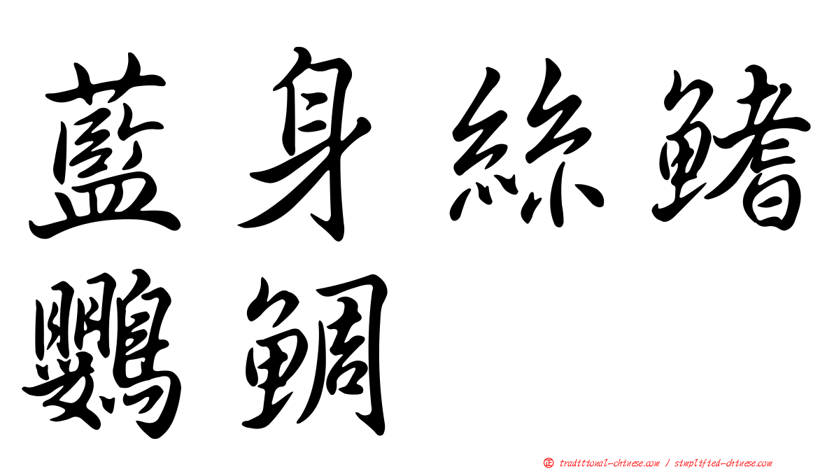 藍身絲鰭鸚鯛