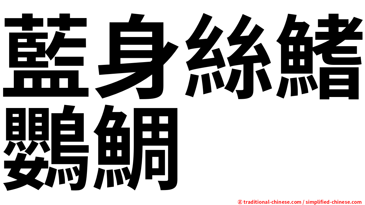 藍身絲鰭鸚鯛