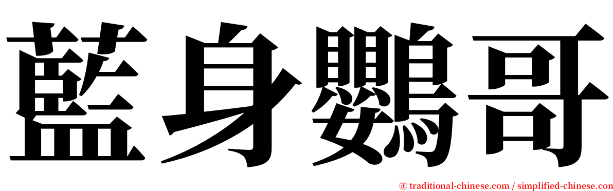 藍身鸚哥 serif font