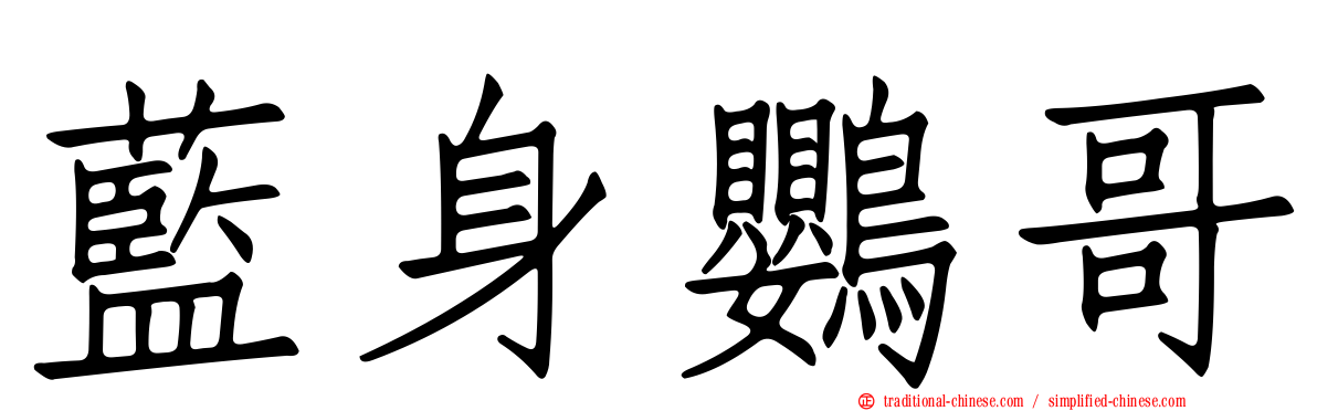 藍身鸚哥