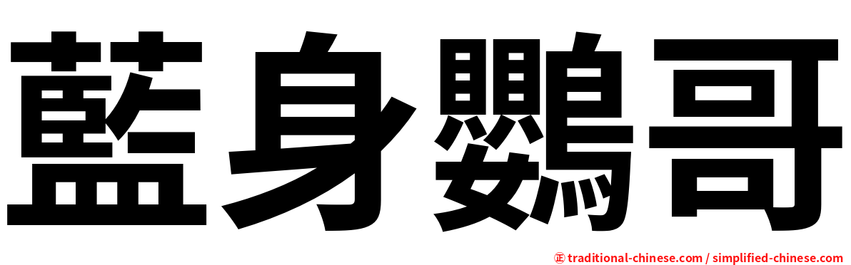 藍身鸚哥
