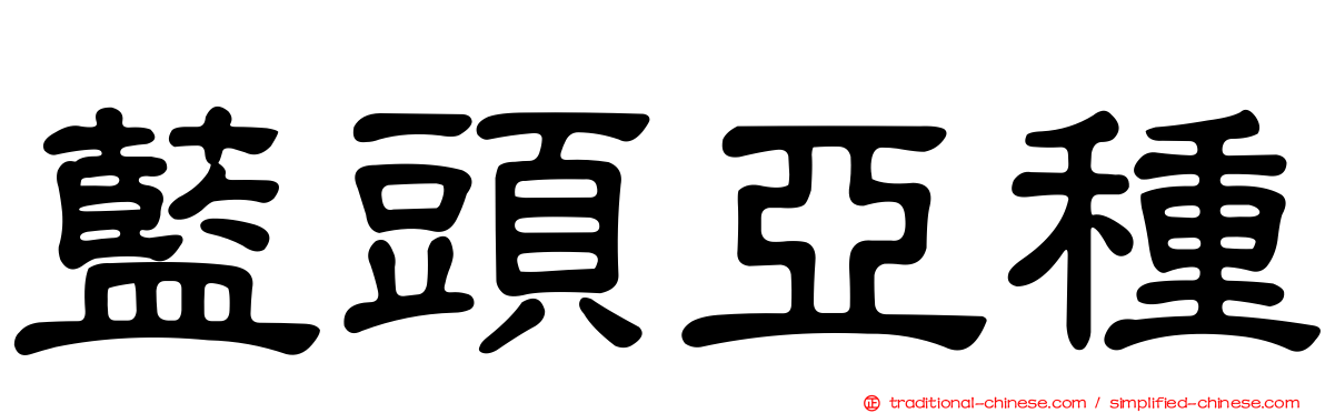 藍頭亞種