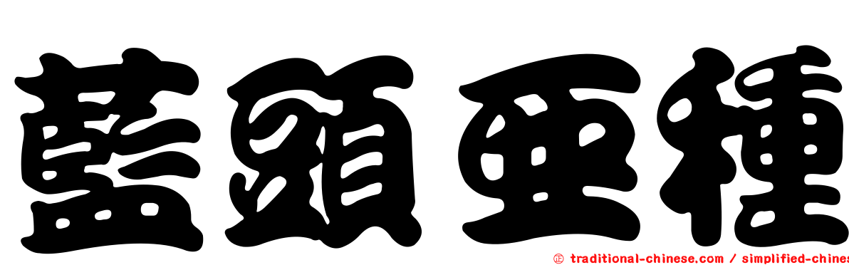 藍頭亞種