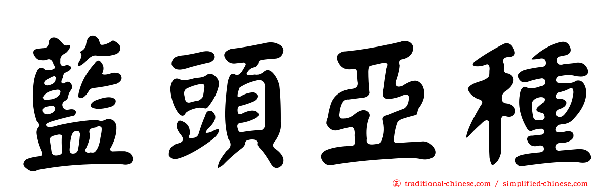 藍頭亞種