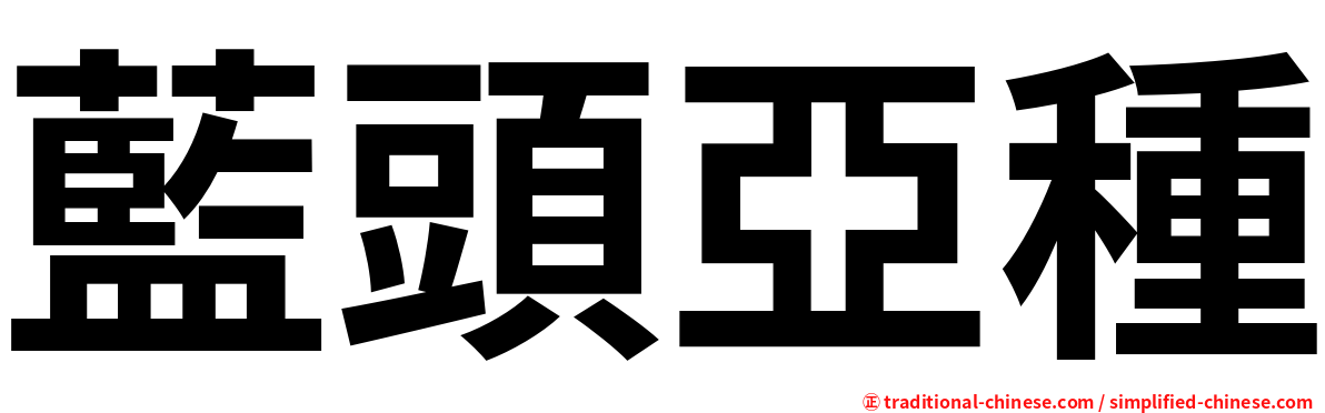 藍頭亞種