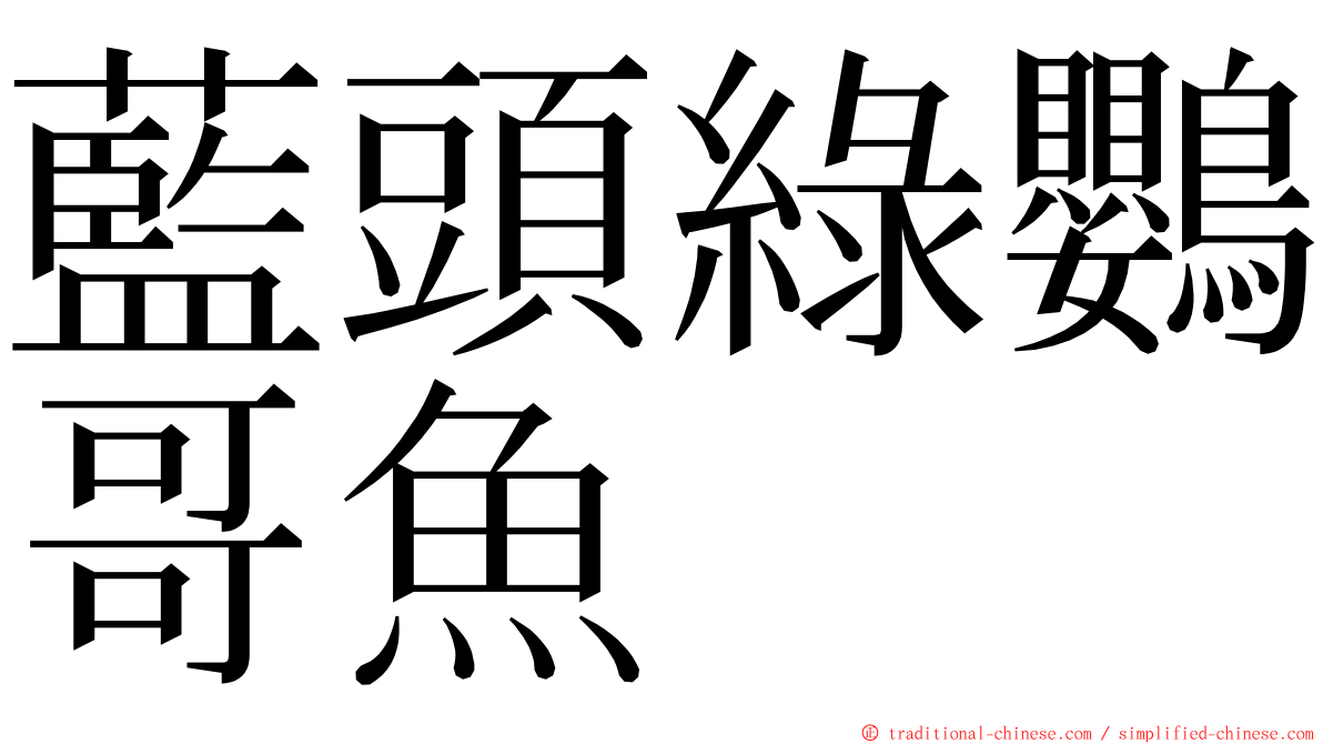 藍頭綠鸚哥魚 ming font
