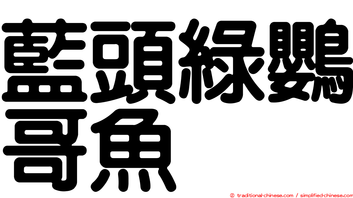 藍頭綠鸚哥魚