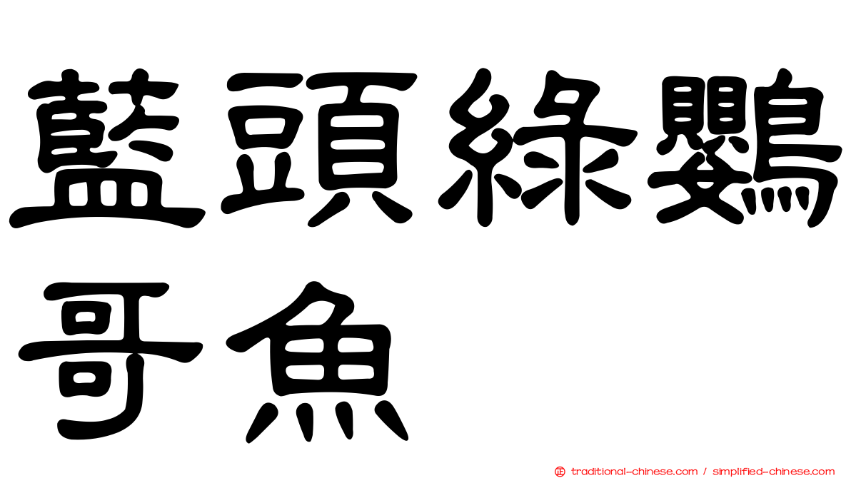 藍頭綠鸚哥魚