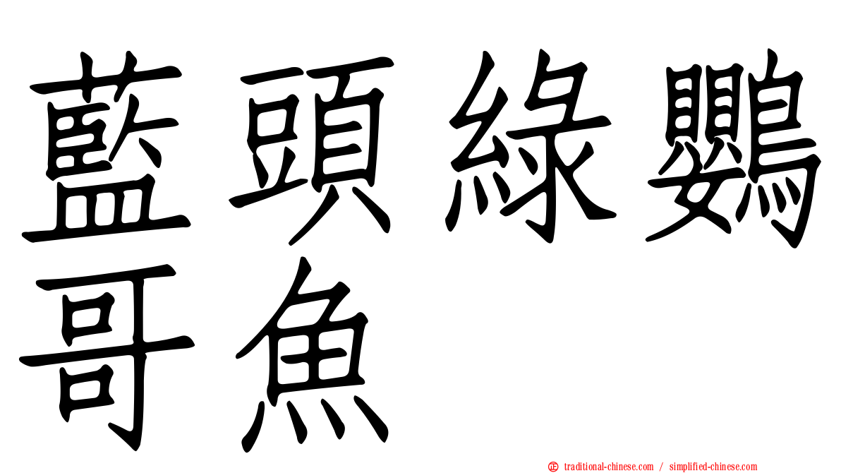 藍頭綠鸚哥魚