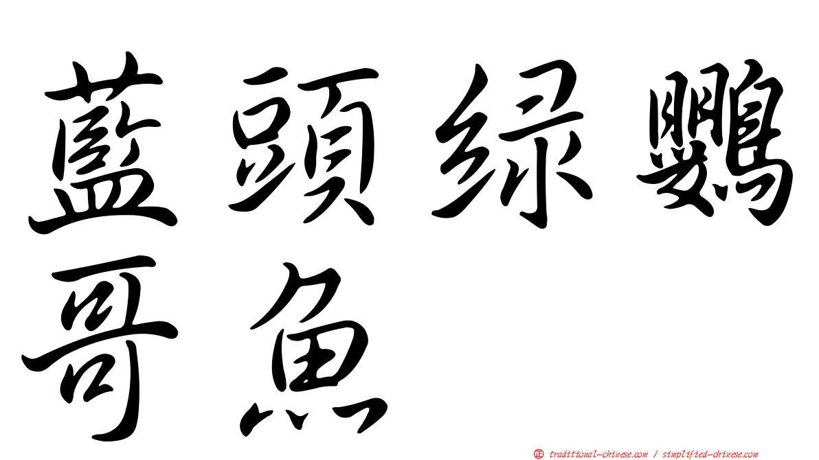 藍頭綠鸚哥魚
