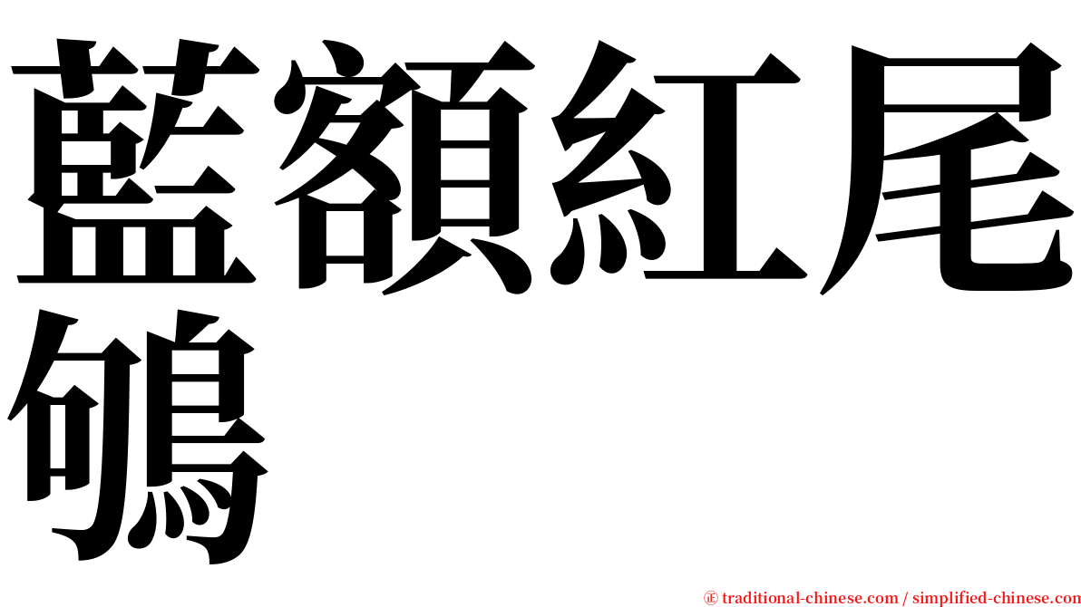 藍額紅尾鴝 serif font