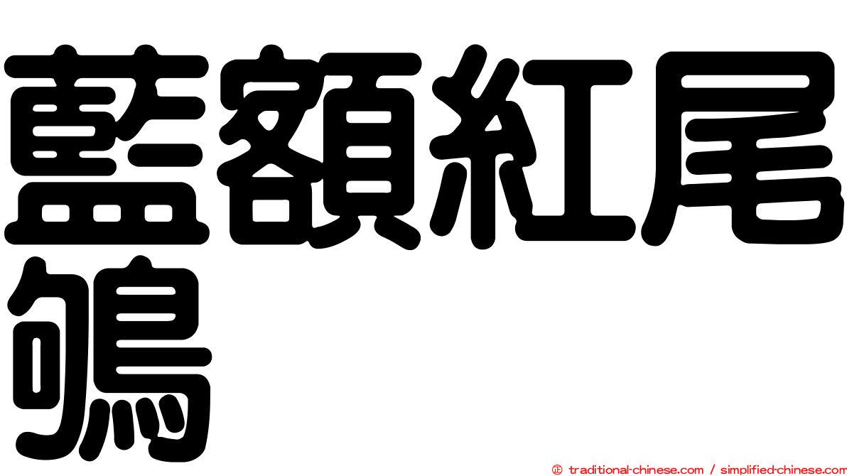 藍額紅尾鴝