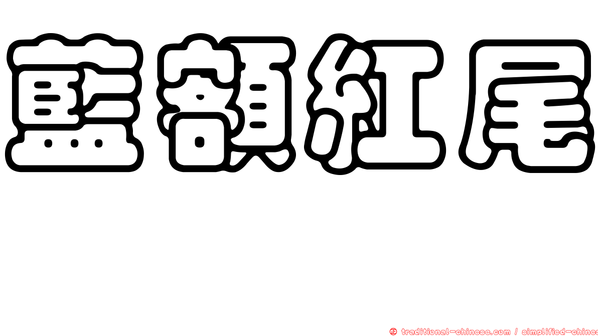藍額紅尾鴝
