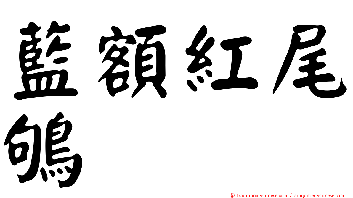 藍額紅尾鴝