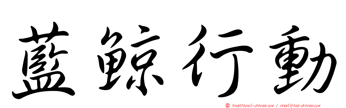 藍鯨行動