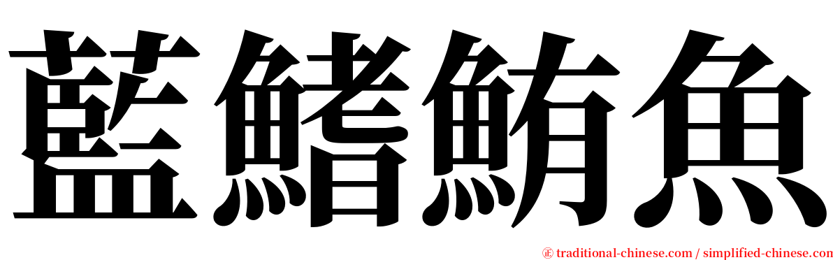 藍鰭鮪魚 serif font
