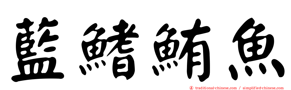 藍鰭鮪魚